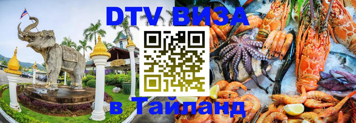 Сколько стоит DTV виза — актуальные цены, оформление даже без документов - 20.11.2025 